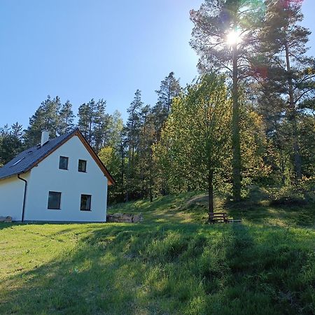 Klidna Lokalita Na Kraji Lesa, Cely Dum S Uschovnu Kol Villa Nová Bystřice Bagian luar foto