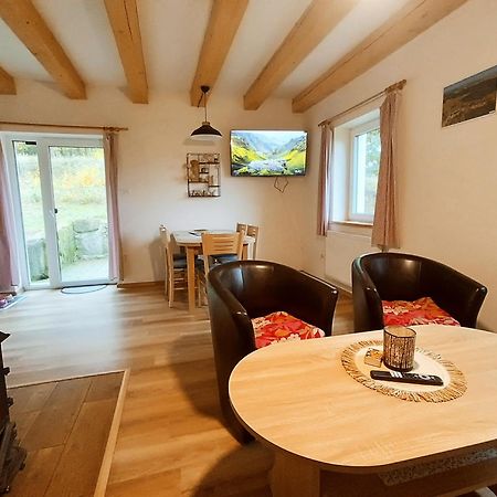 Klidna Lokalita Na Kraji Lesa, Cely Dum S Uschovnu Kol Villa Nová Bystřice Bagian luar foto