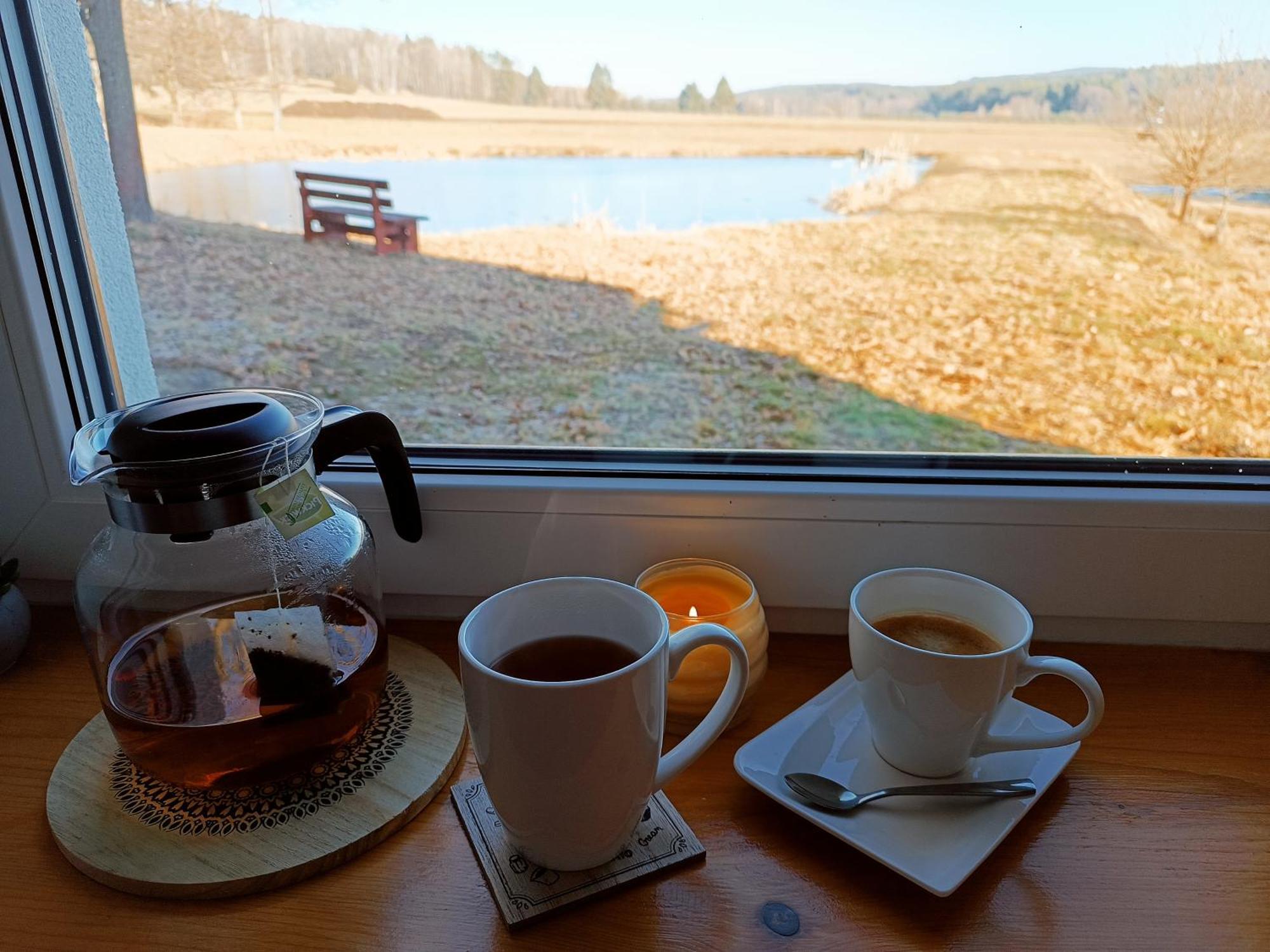 Klidna Lokalita Na Kraji Lesa, Cely Dum S Uschovnu Kol Villa Nová Bystřice Bagian luar foto