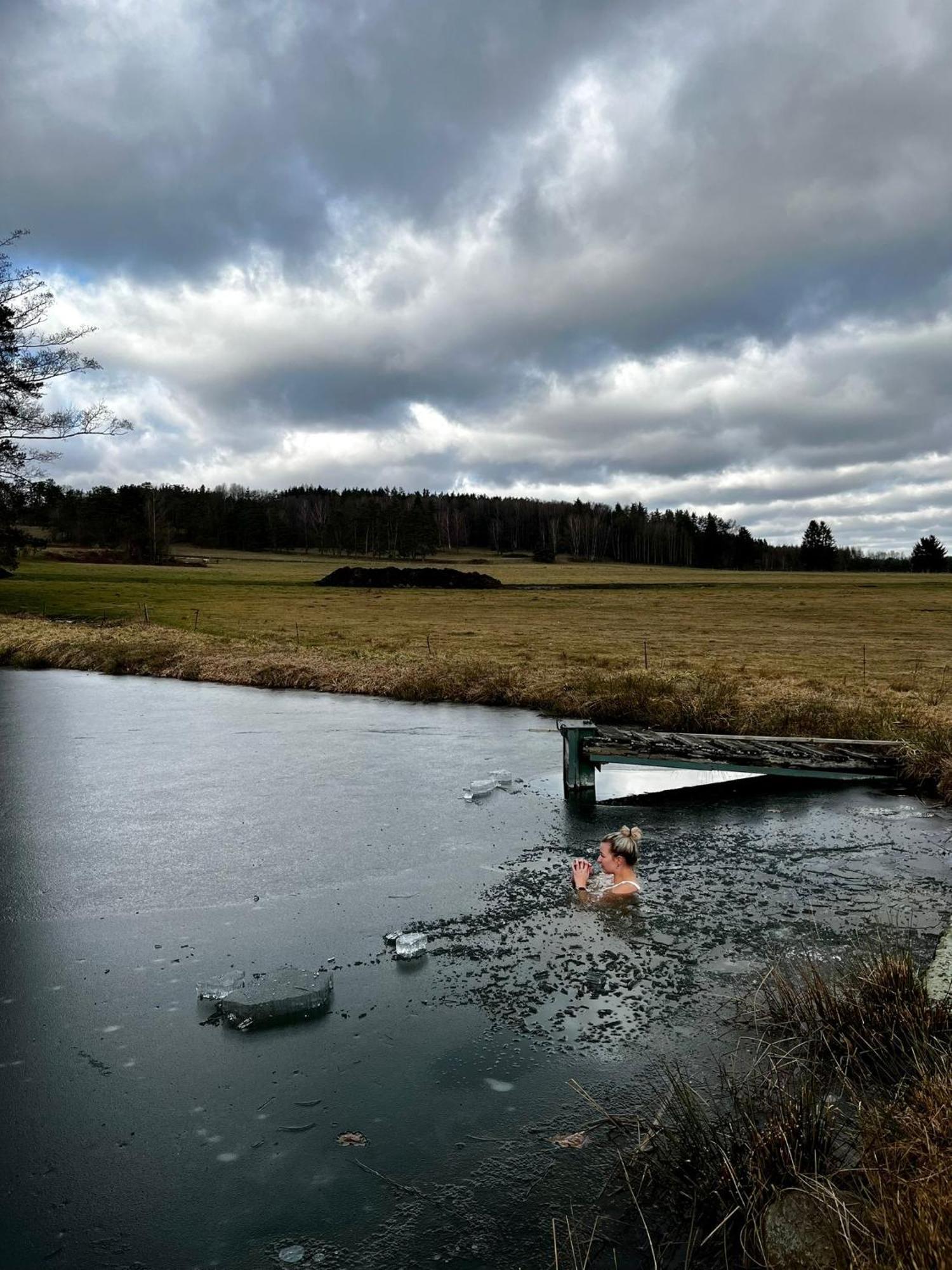 Klidna Lokalita Na Kraji Lesa, Cely Dum S Uschovnu Kol Villa Nová Bystřice Bagian luar foto