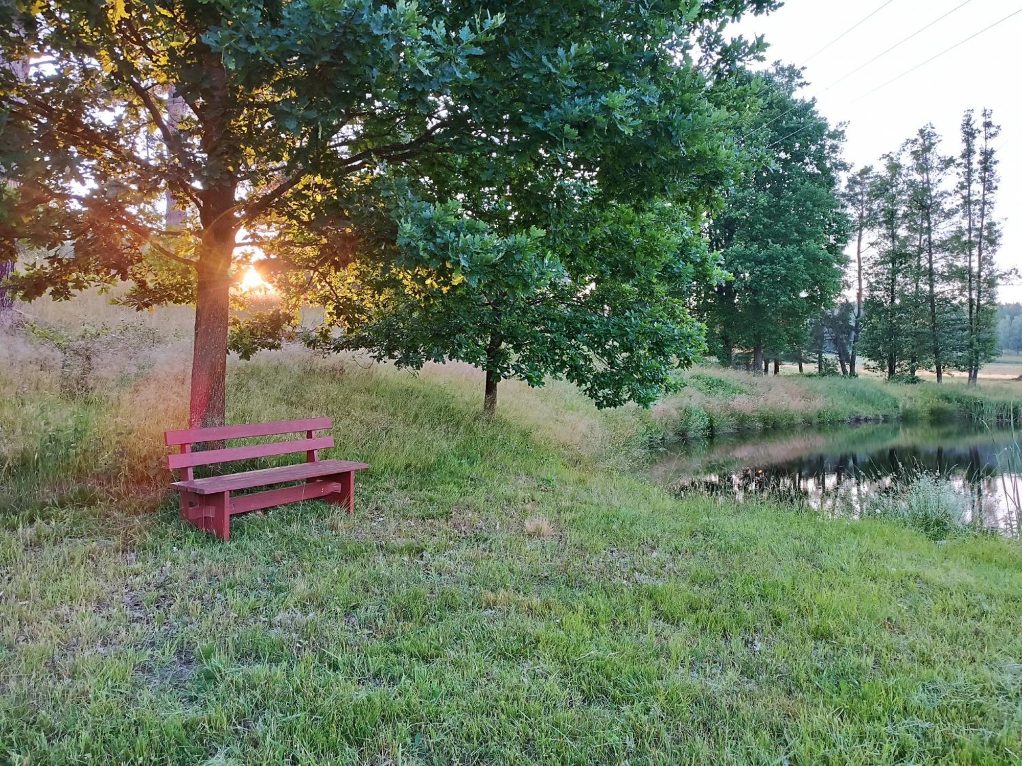 Klidna Lokalita Na Kraji Lesa, Cely Dum S Uschovnu Kol Villa Nová Bystřice Bagian luar foto