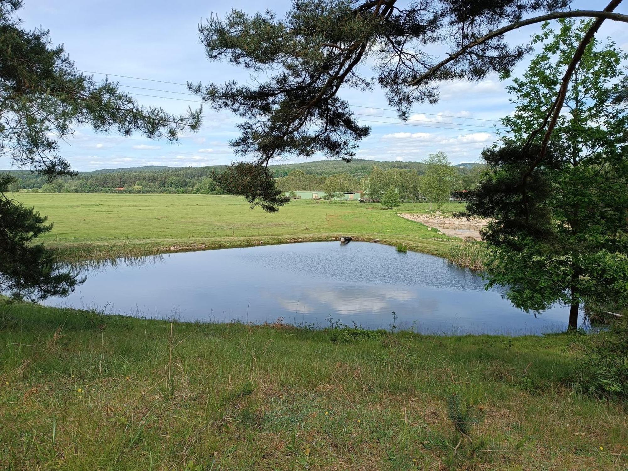Klidna Lokalita Na Kraji Lesa, Cely Dum S Uschovnu Kol Villa Nová Bystřice Bagian luar foto