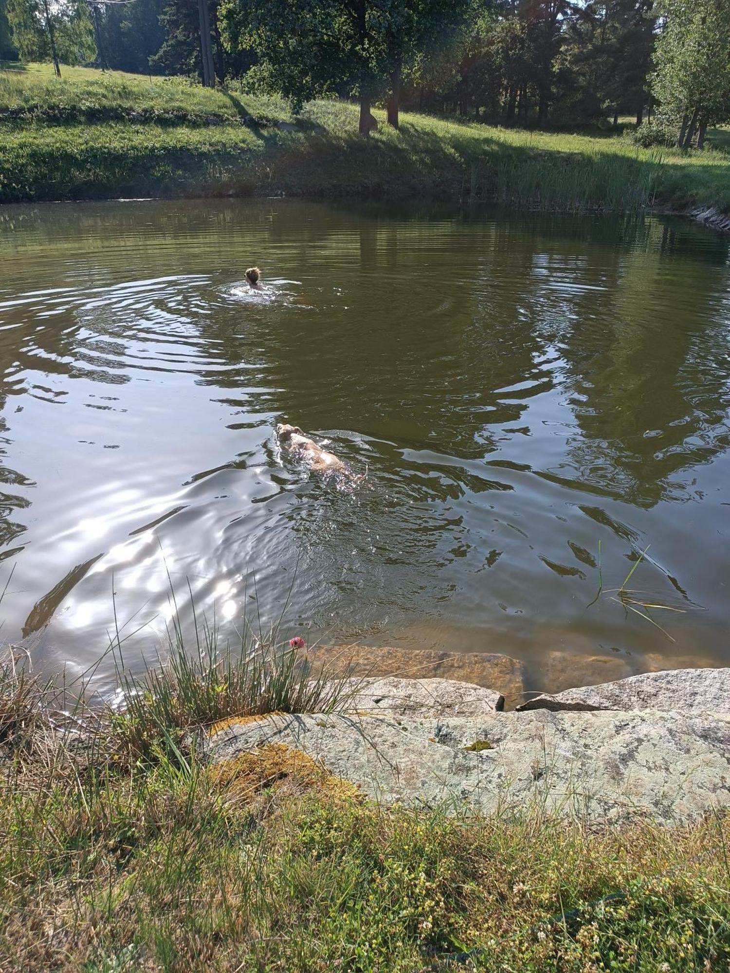 Klidna Lokalita Na Kraji Lesa, Cely Dum S Uschovnu Kol Villa Nová Bystřice Bagian luar foto